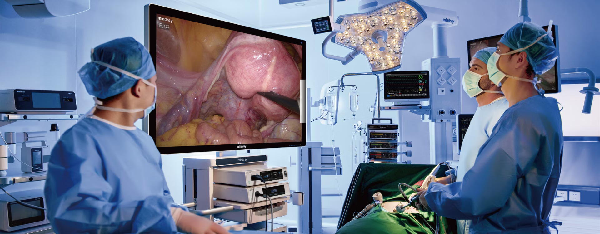 4K Endoscopic System UX3